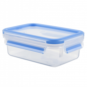 Maisto dėžutė Tefal Masterseal Fresh 1,00 l