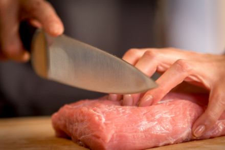 Peilis Tefal Ice Force Stainless steel 20 cm