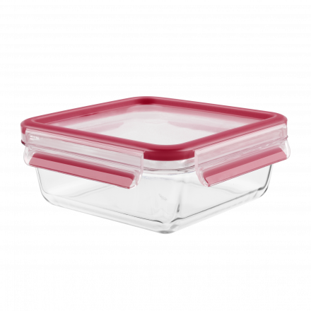 Maisto dėžutė Tefal Masterseal 0,9 l