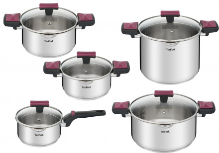 Puodų rinkinys Tefal Cook & Clip 10 dalių