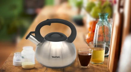 Nerūdijančio plieno virdulys Tefal Supor 2,5 l