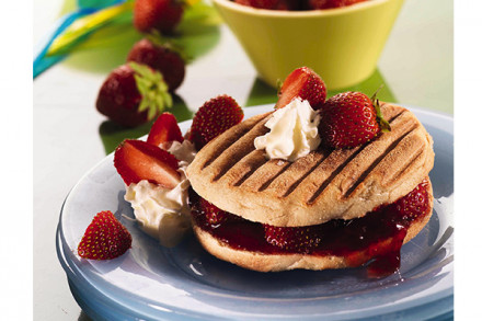 Keičiamos plokštės Snack Collection Tefal Panini