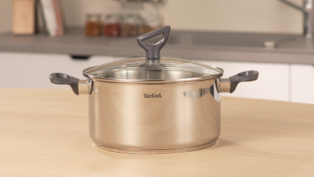 Puodas su dangčiu Tefal Daily Cook 20 cm