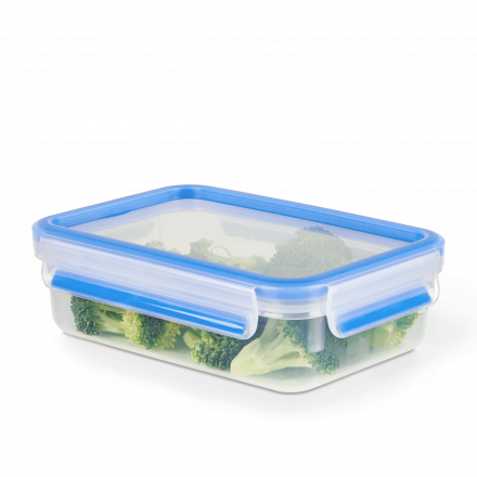 Maisto dėžutė Tefal Masterseal Fresh 0,80 l