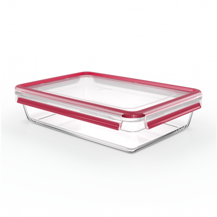 Maisto dėžutė Tefal Masterseal 3,0 l