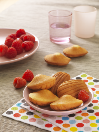 Keičiamos plokštės Snack Collection Tefal Mini madeleine