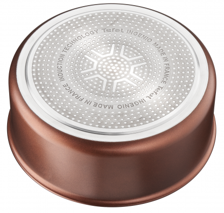 Puodas Tefal Ingenio Resource 22 cm