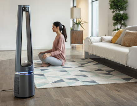 Oro valytuvas Tefal Eclipse